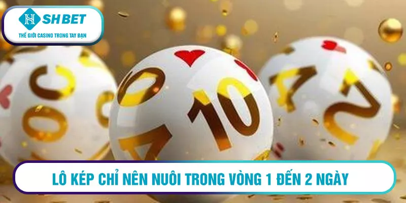 Kinh nghiệm soi cầu 3 miền chính xác nhất 3 Lô kép chỉ nên nuôi trong vòng 1 đến 2 ngày